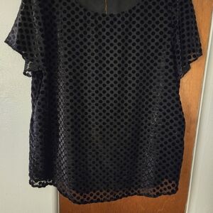 LOFT Navy Blue Boxy Short Sleeve Blouse